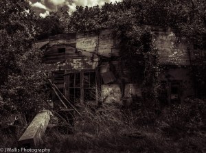 albion downtown corner store